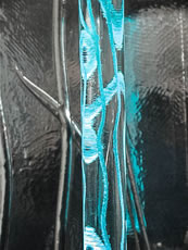 butterfly-detail